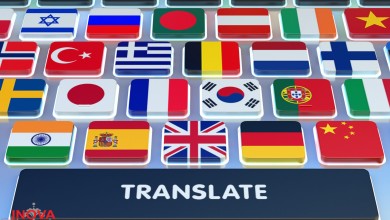 servicii traduceri